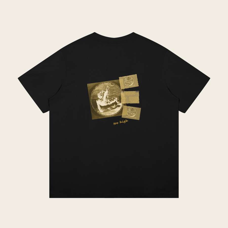 Oversized Tee - 06 TOO HIGH – Black – packshot – bagfra